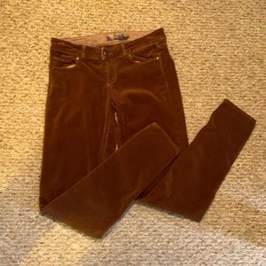 Paige Verdugo Legging in Brown Velvet